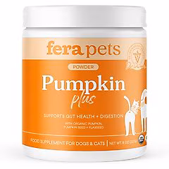 probiotics-for-cats-with-diarrhea-b