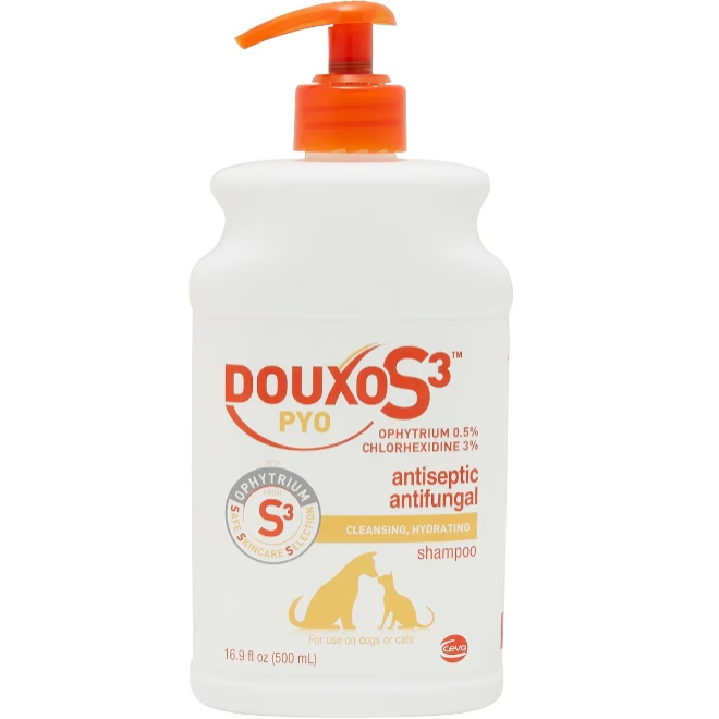 shampoo-for-dogs-c