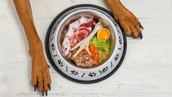best meat for dogs with food allergies