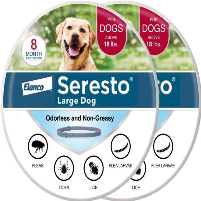 Best Flea and Tick Collar for Dogs – Long-Lasting Protection & Comfort