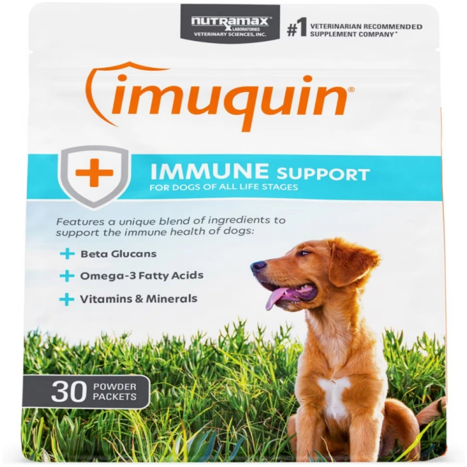 Best Immune Supplements for Dogs – Boost Immunity & Support Health