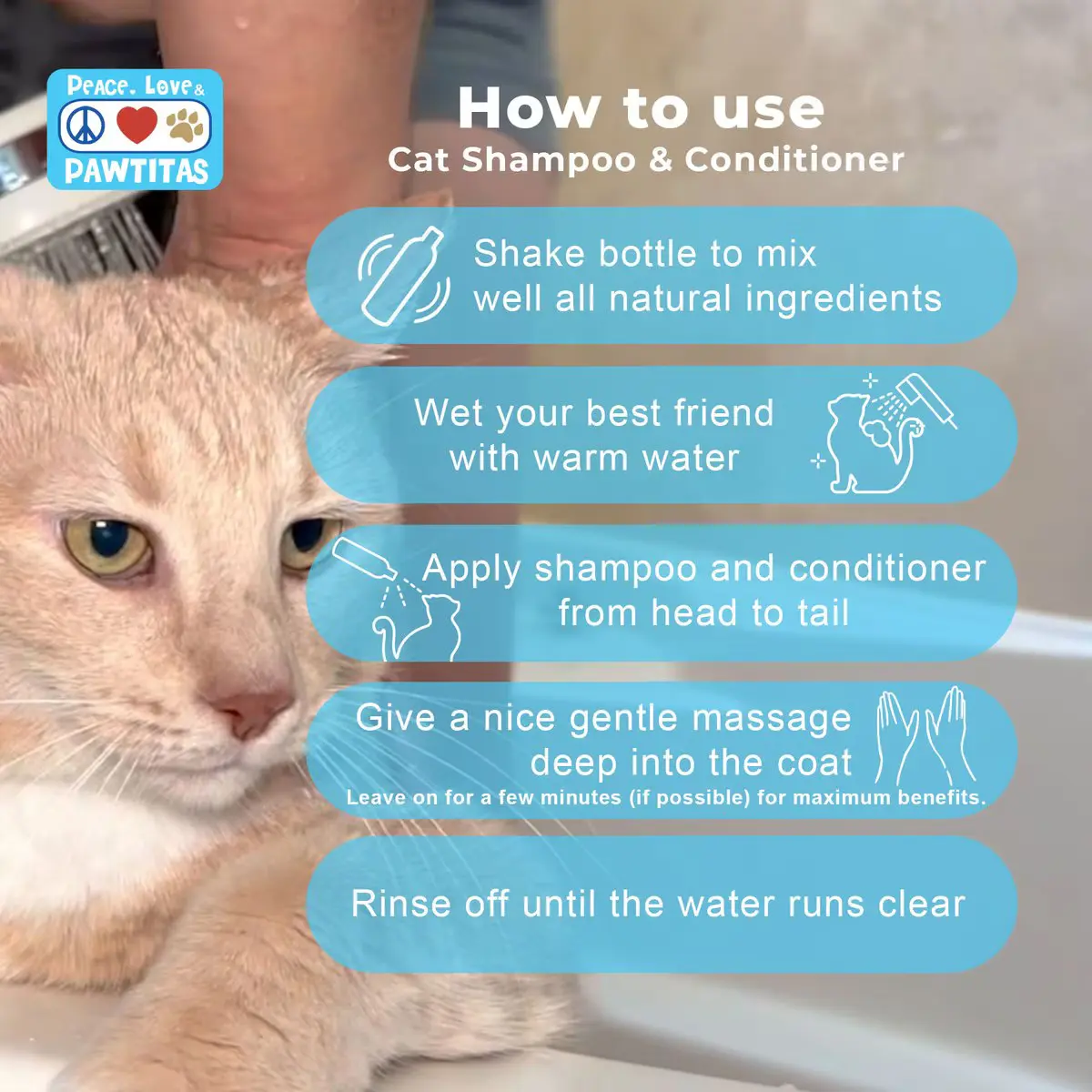 oatmeal cat shampoo