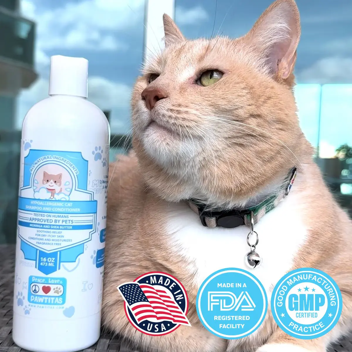 oatmeal cat shampoo