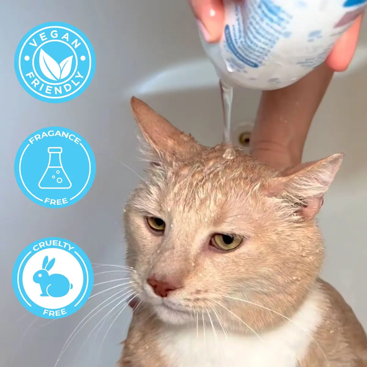 oatmeal cat shampoo