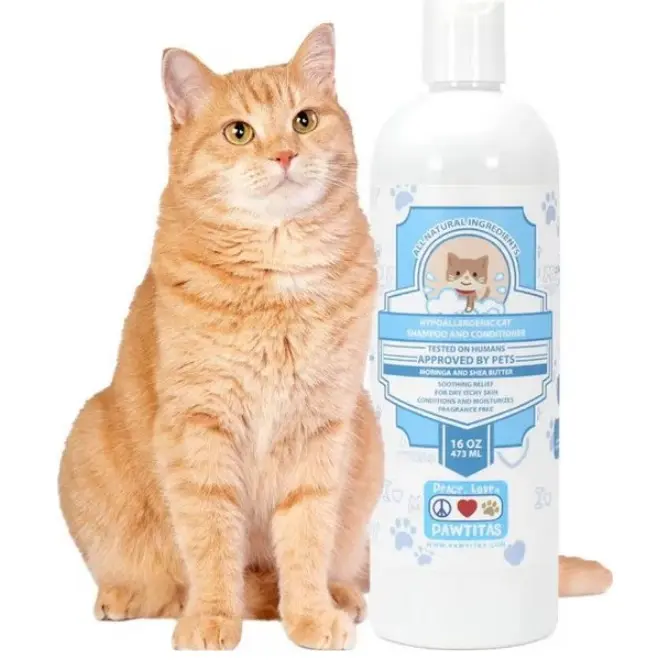 Pawtitas Organic Sheabutter & Oatmeal Cat Shampoo & Conditioner, 16-fl oz bottle