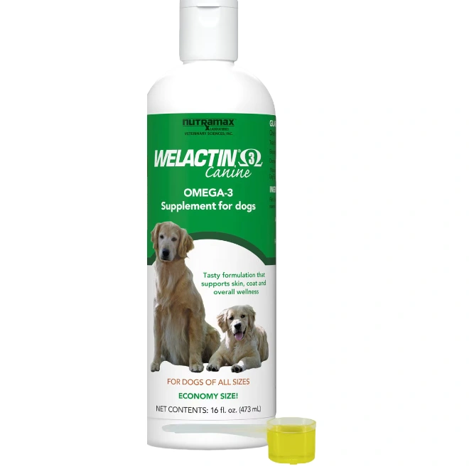 Best Skin and Coat Supplements for Dogs – Soothe Itchy Skin & Boost Shine