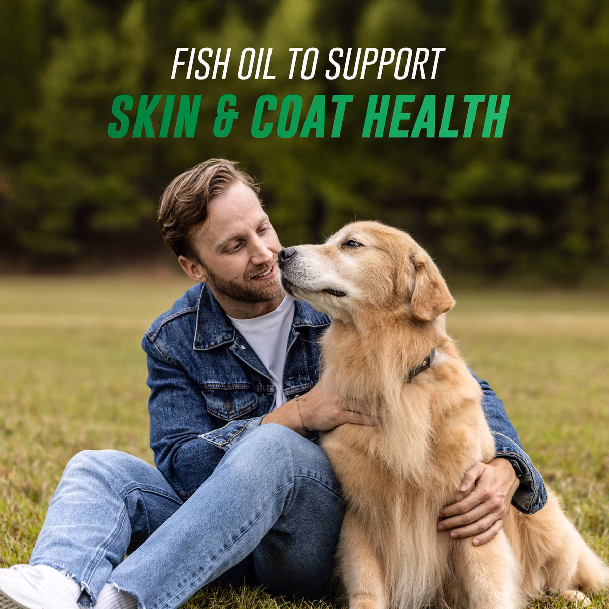 skin coat supplements dogs