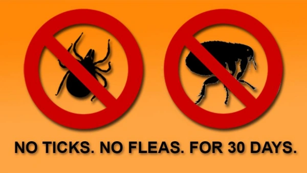 flea repellent spray for dogs