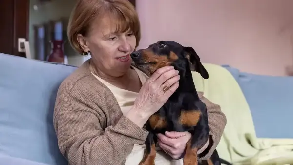How to Comfort a Dog with Congestive Heart Failure