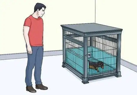 how to crate train an older dog 