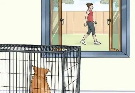 how to crate train your dog