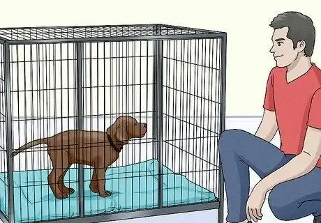 how to crate train your dog