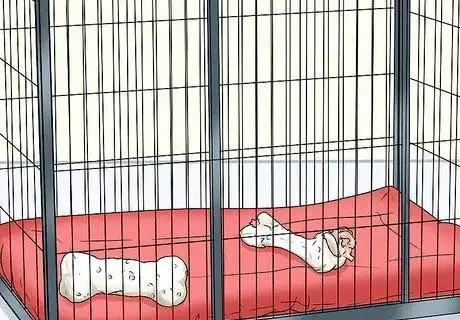 how to crate train your dog