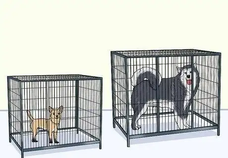 how to kennel train a dog