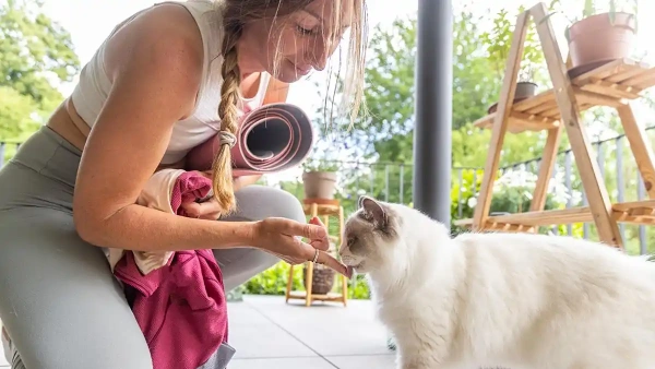 natural flea remedy for cats
