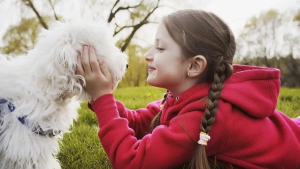What’s a Good Probiotic for Dogs? Expert Guide for Pet Owners