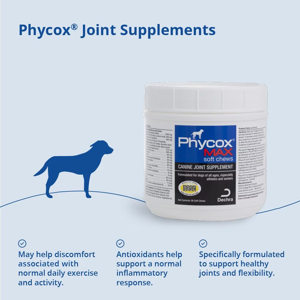 joint supplement for dogs