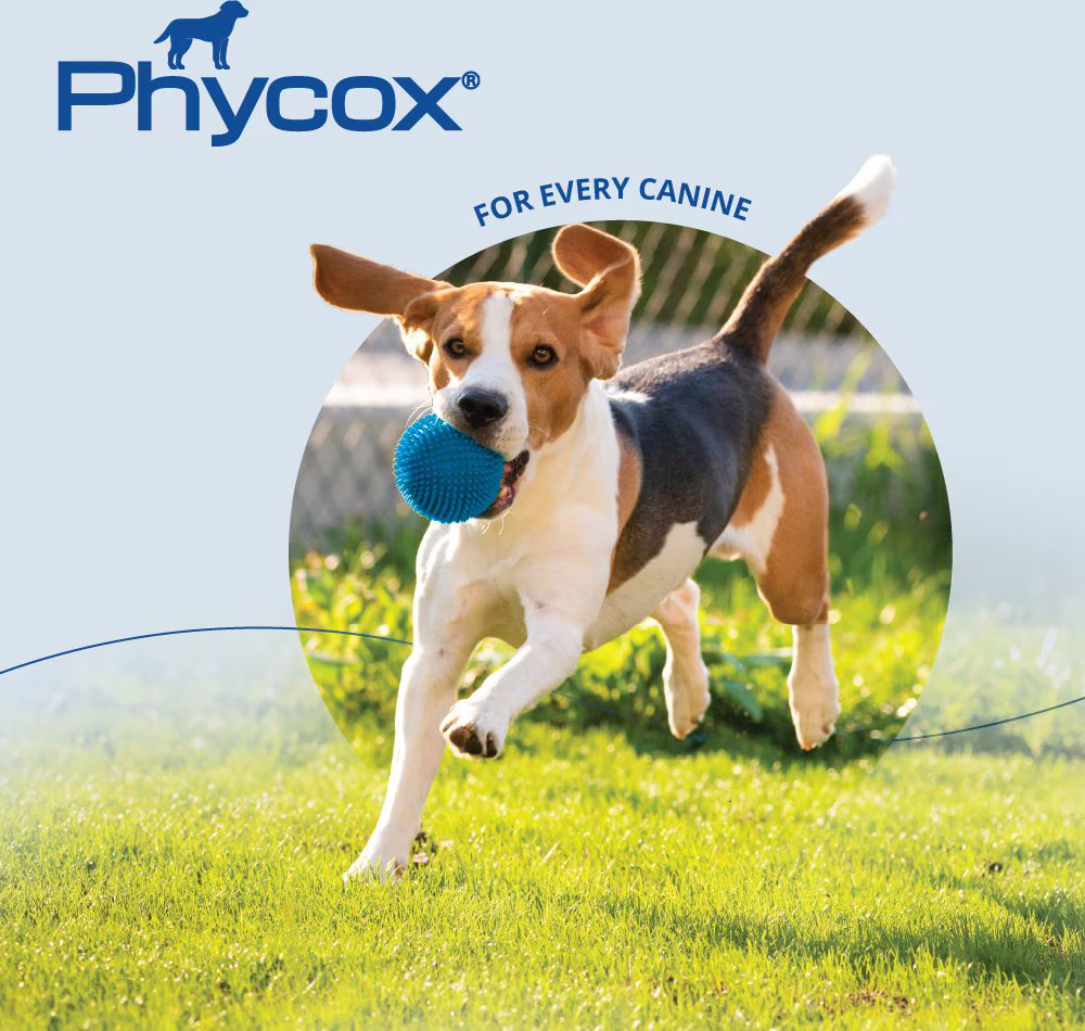 joint supplement for dogs