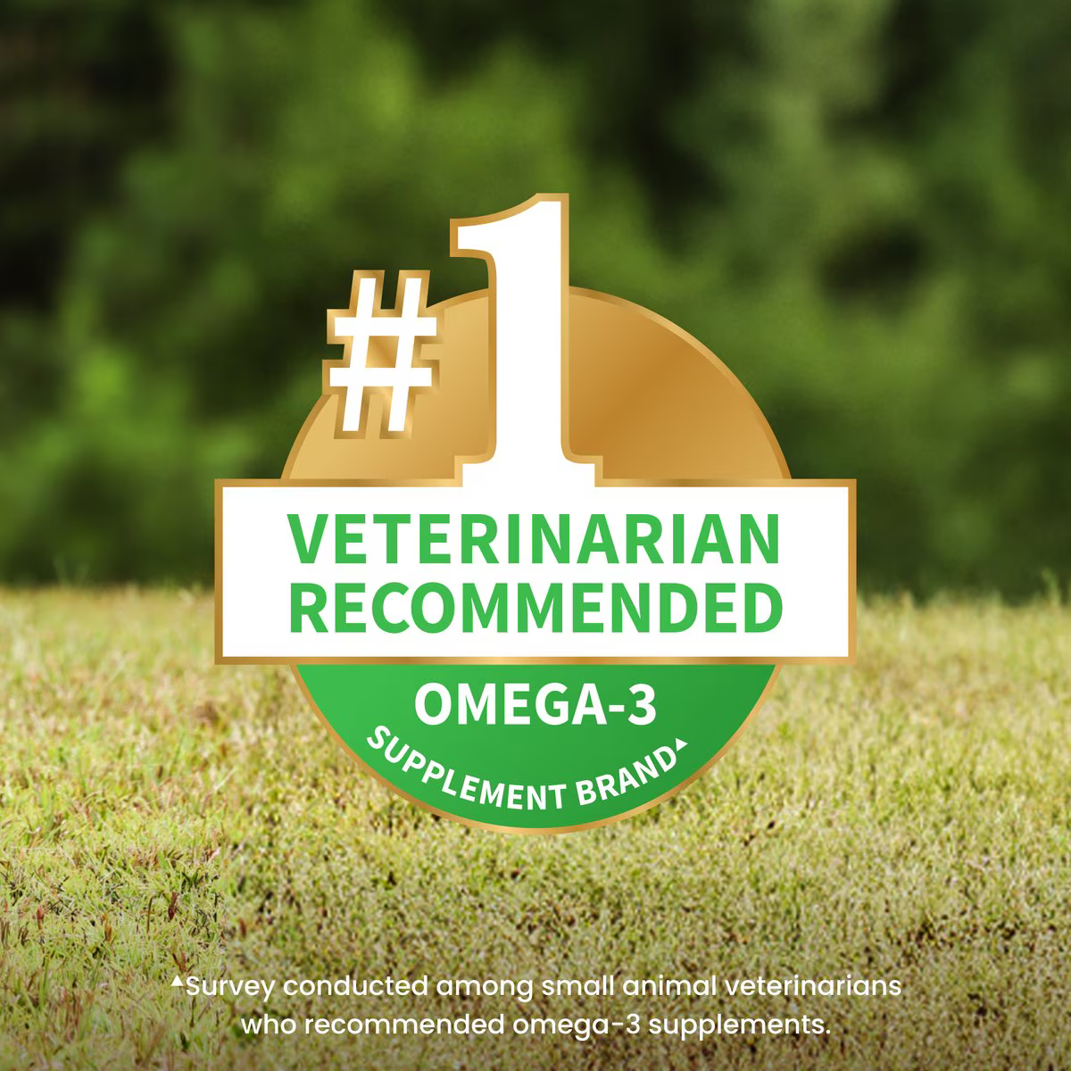 coat supplement for dogs