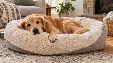 Plush dog bed with soft materials and cozy comfort design